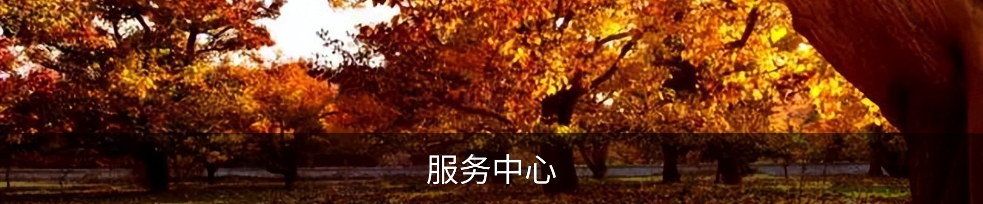 服务中心