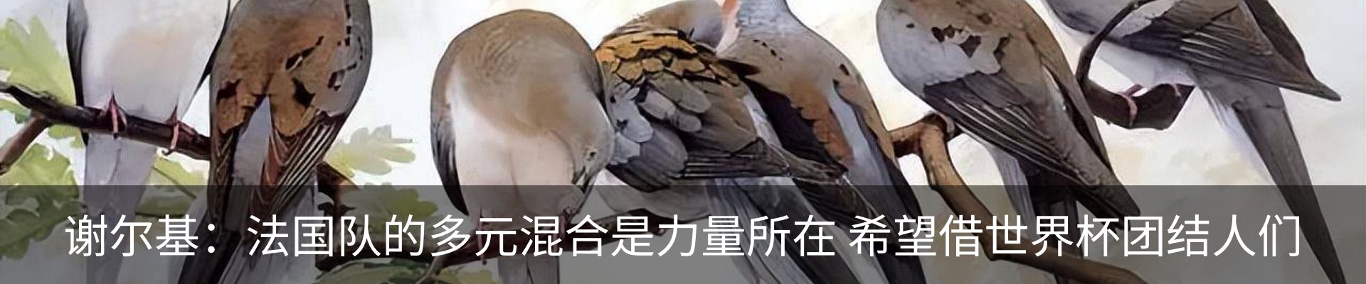 新闻动态